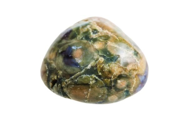 rainforest jasper