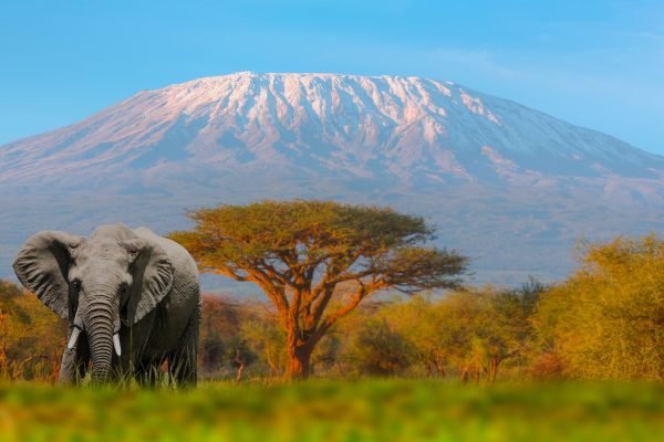 tanzaniaMount Kilimanjaro